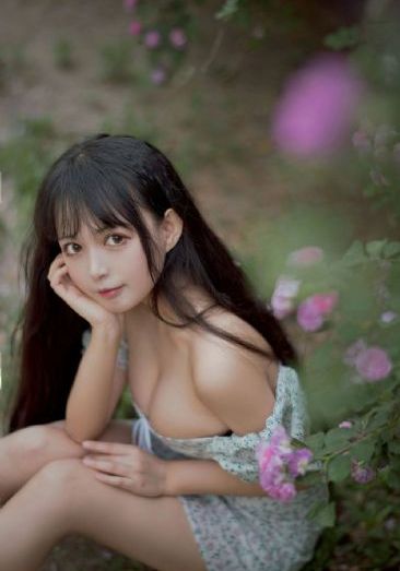 里约大冒险在线观看_电影未删减版
