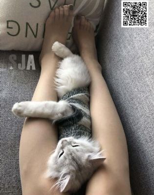 洗屋先生全集_超清在线观看视频