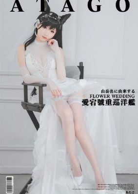 警察锅哥第三部53集播放_1080P全集在线观看