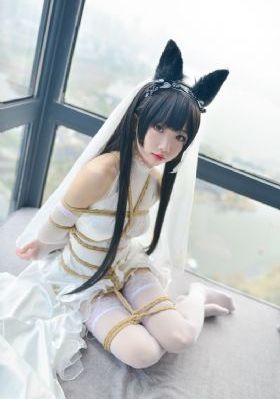 猪猪影院_BD免费全集观看