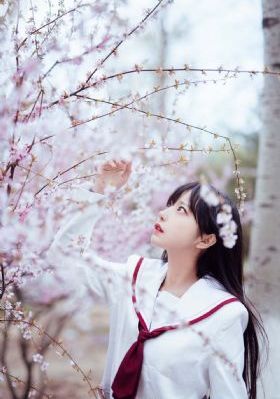 美队2_电影在线观看