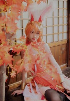 花房姑娘免费观看全集电视剧_1080在线观看视频
